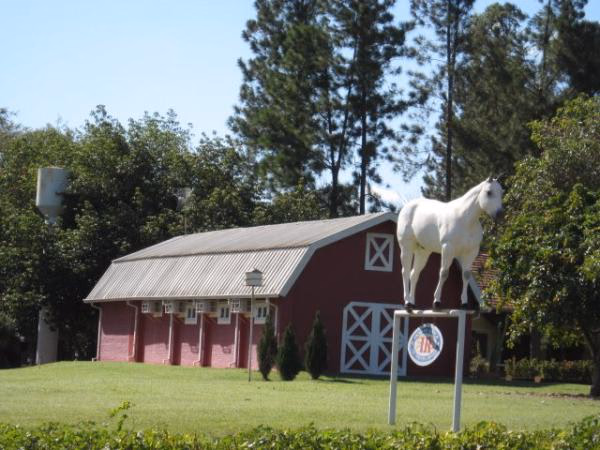 Estoque de Laços Indiana Ranch